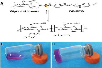 In vitro and in vivo Study on an Injectable Glycol Chitosan/Dibenzaldehyde-Terminated Polyethylene Glycol Hydrogel in Repairing Articular Cartilage Defects